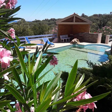 公寓 Kaliste Vue Mer Incroyable, Piscine Location Entier 2 A 4 Pers Proche Plage 宗扎